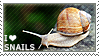 I love Snails by WishmasterAlchemist