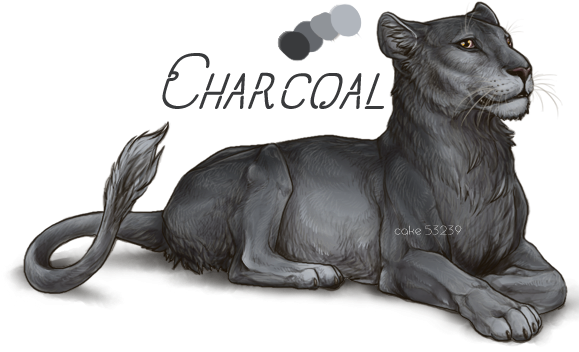 base___charcoal_copy_by_usbeon-dbjt3nw.png