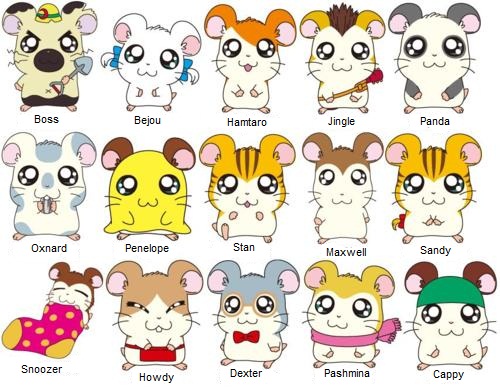 Image result for hamtaro