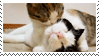 animals_cat_kisses_stamp_by_twilightprowler-d60tmn2.gif