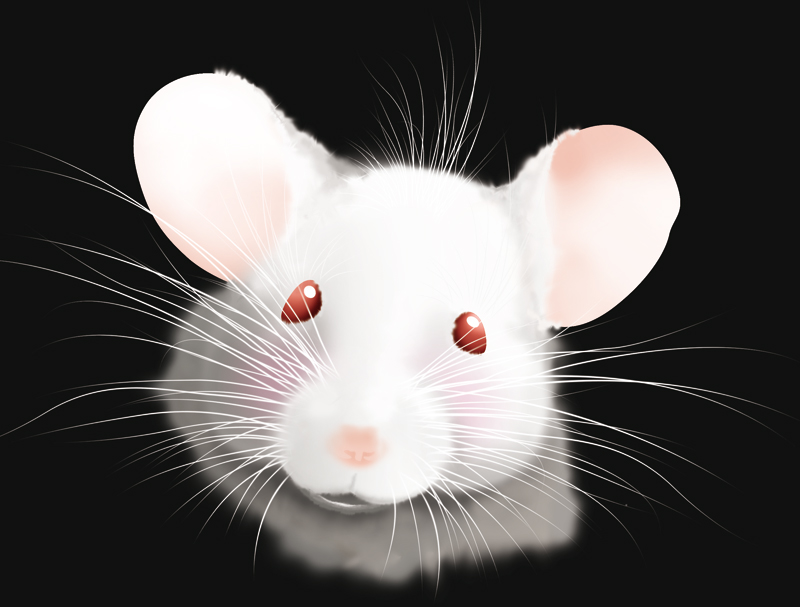the_mouse_by_ginee.jpg