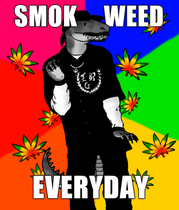smok_weed_everyday__by_zewqt-d8p4srf.png