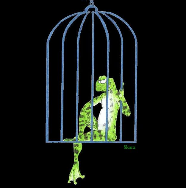 frog_in_a_cage_by_drakie229.jpg