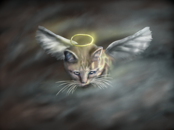 cat angel clipart - photo #37
