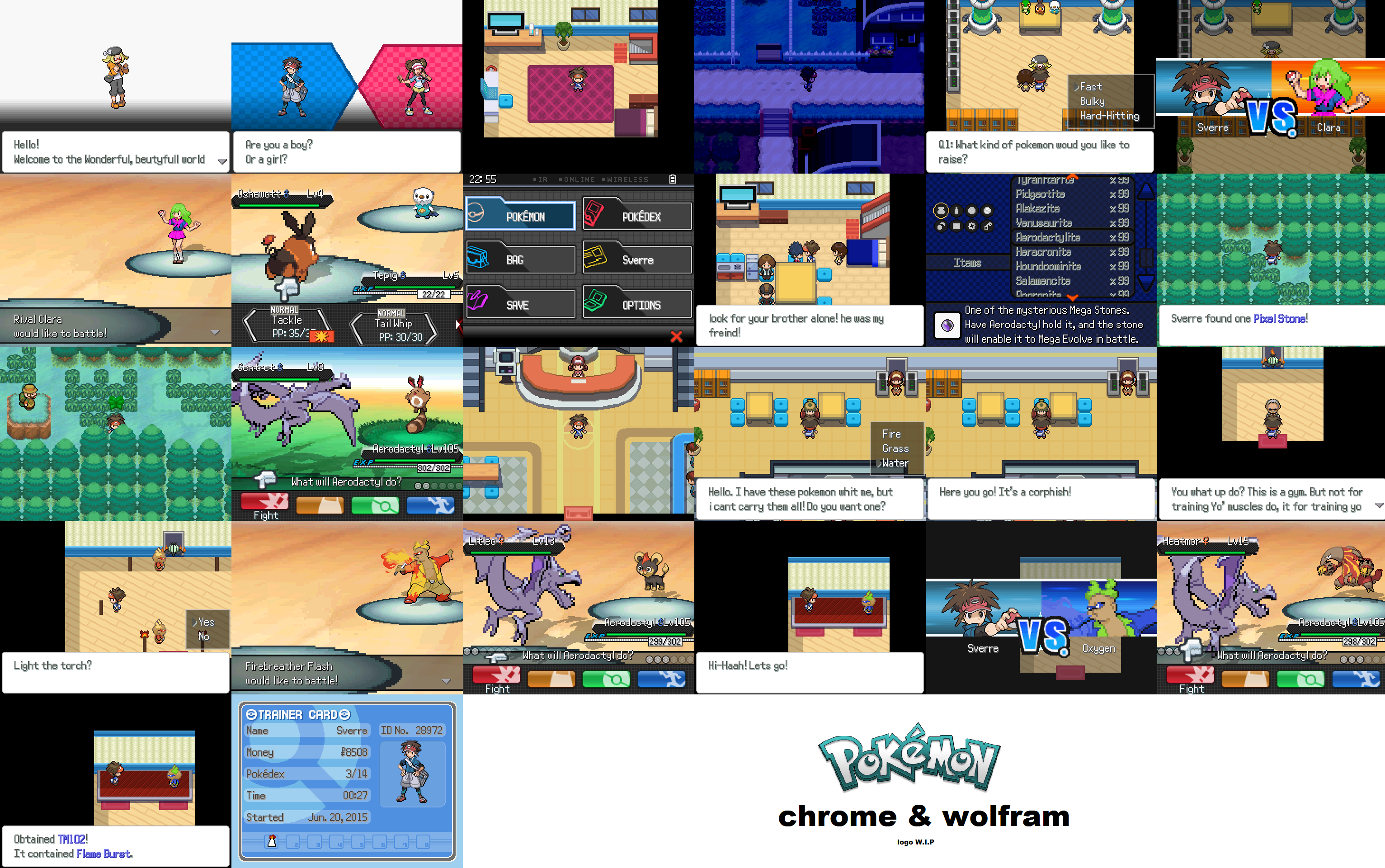 screenshot_compilation_pokemon_chrome_and_wolfram_by_sverre712-d8y51et.png