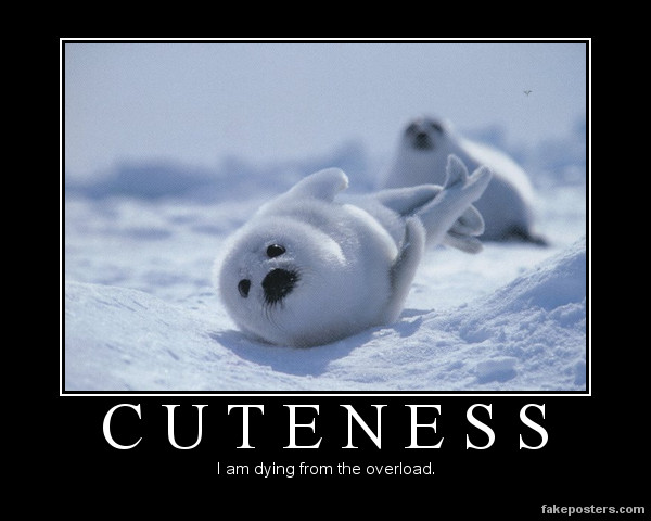 [Image: dying_from_cuteness_overload_by_blacktsh...5922uf.jpg]