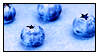 _blueberries__stamp_by_nyappymiku22-d3bfths.gif