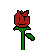 Rose (Flower)