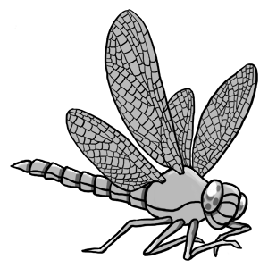 dragonfly_preview_fin_by_cenobitesquid-d9vdj88.png