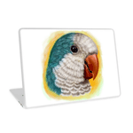 Quaker Parrot Realistic Painting Laptop Skin