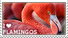 I love Flamingos by WishmasterAlchemist