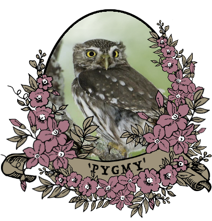 pygmy_by_myserpentine-d9mu0vt.png