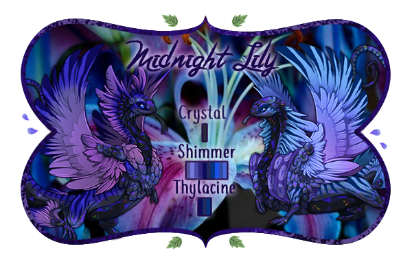 midnightlily_by_mythic_spirit-dbansjy.png