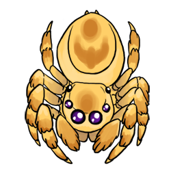_jumpingspider_example_by_cenobitesquid-d9vqygl.png