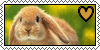 Rabbit by SmearingSin