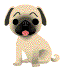 PUG by cam-chaniscool123