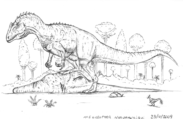 megaraptor 2009 sketchmaniraptora on deviantart