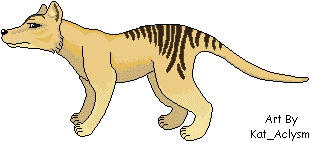 thylacine_kat_pixel.gif