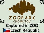 Zoopark Chomutov by PhotoDragonBird